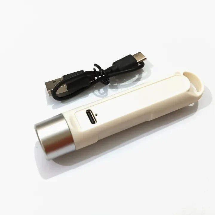 (Free Delivery) Portable UV Light Money Detector Pen